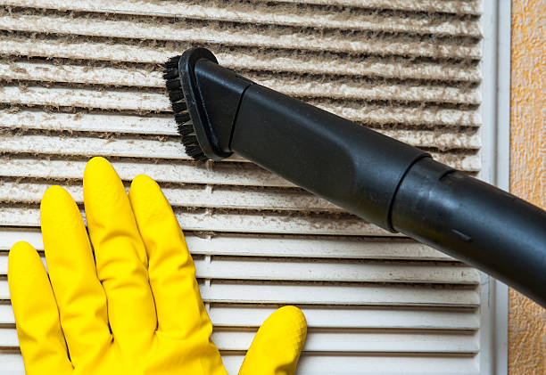 Best Local Air Duct Cleaning Services  in Newhall, IA